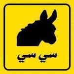 "Sisi" - in Arabic Sisi is also a poney